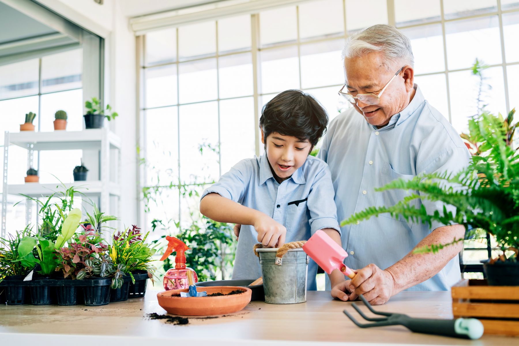 Grandfather and grandson gardening