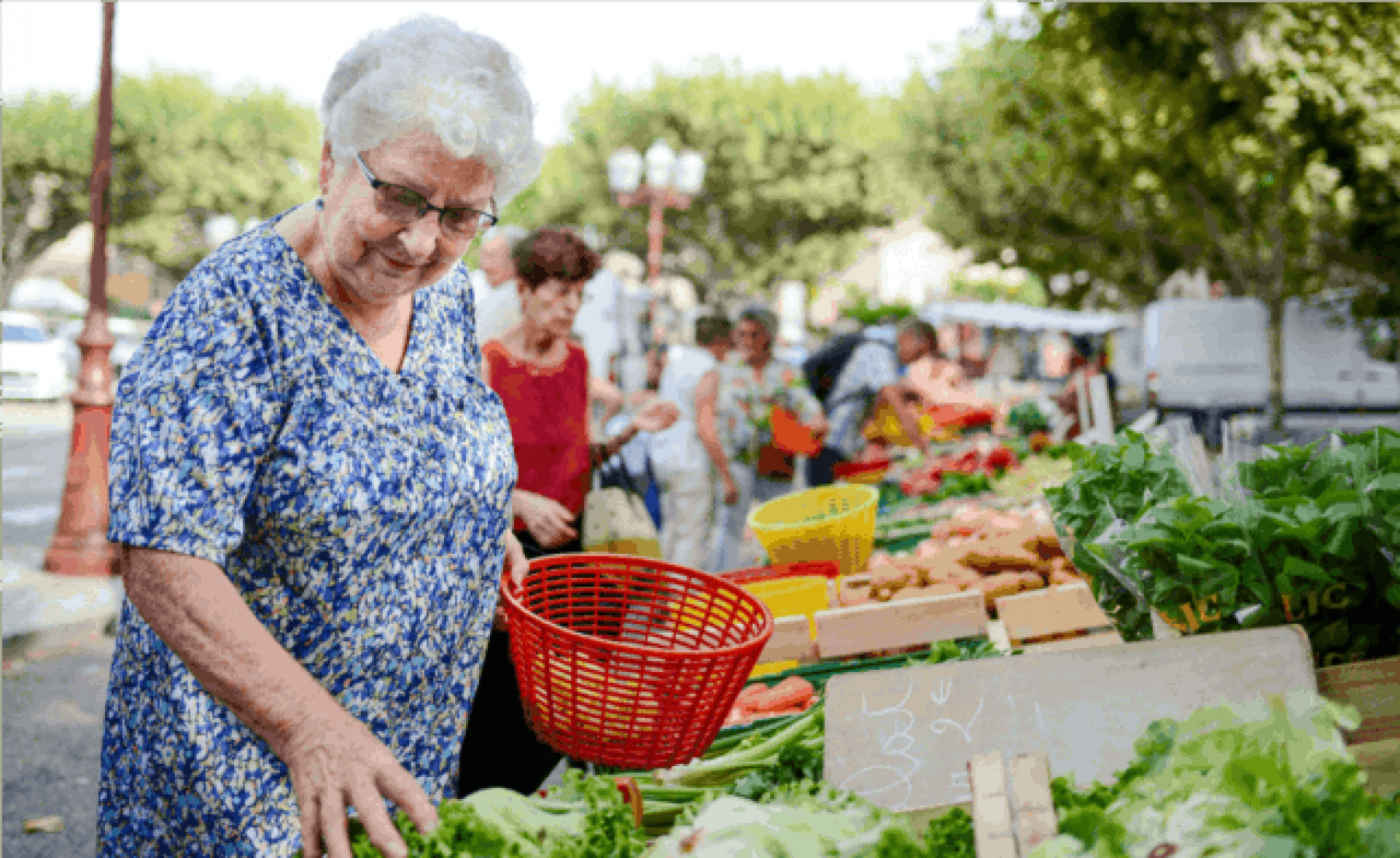 Woman choosing produce at an outdoor Farmer's Market.